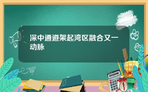 深中通道架起湾区融合又一动脉