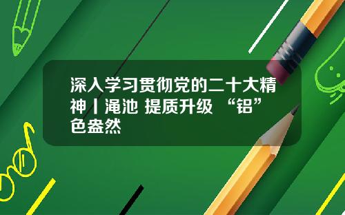 深入学习贯彻党的二十大精神丨渑池 提质升级 “铝”色盎然