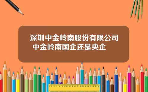 深圳中金岭南股份有限公司 中金岭南国企还是央企