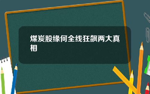 煤炭股缘何全线狂飙两大真相
