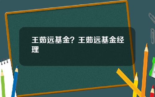 王茹远基金？王茹远基金经理