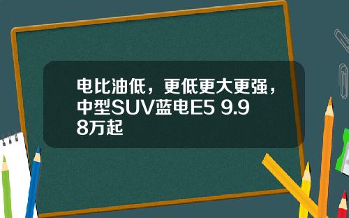 电比油低，更低更大更强，中型SUV蓝电E5 9.98万起
