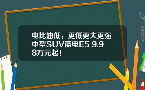 电比油低，更低更大更强 中型SUV蓝电E5 9.98万元起！