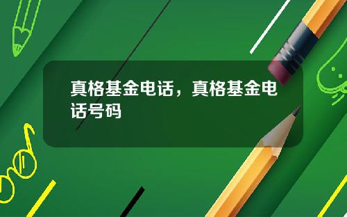 真格基金电话，真格基金电话号码