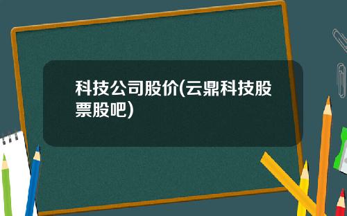 科技公司股价(云鼎科技股票股吧)
