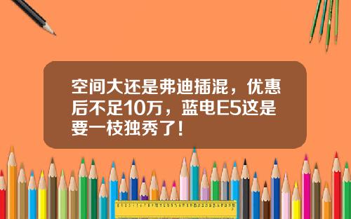 空间大还是弗迪插混，优惠后不足10万，蓝电E5这是要一枝独秀了！