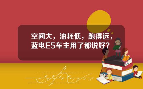 空间大，油耗低，跑得远，蓝电E5车主用了都说好？