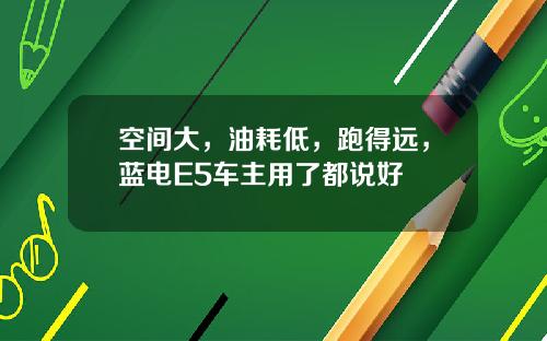 空间大，油耗低，跑得远，蓝电E5车主用了都说好