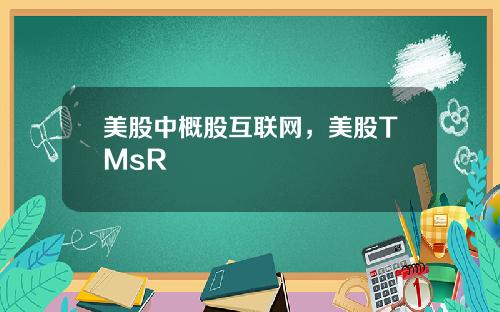 美股中概股互联网，美股TMsR