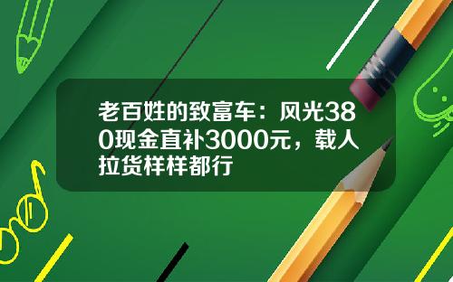 老百姓的致富车：风光380现金直补3000元，载人拉货样样都行