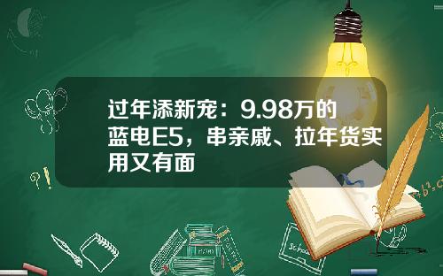 过年添新宠：9.98万的蓝电E5，串亲戚、拉年货实用又有面