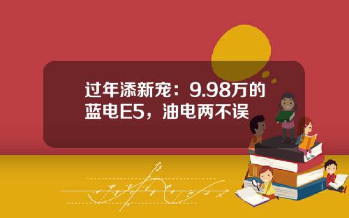 过年添新宠：9.98万的蓝电E5，油电两不误