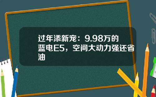 过年添新宠：9.98万的蓝电E5，空间大动力强还省油