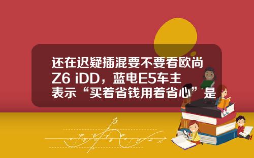还在迟疑插混要不要看欧尚Z6 iDD，蓝电E5车主表示“买着省钱用着省心”是王道