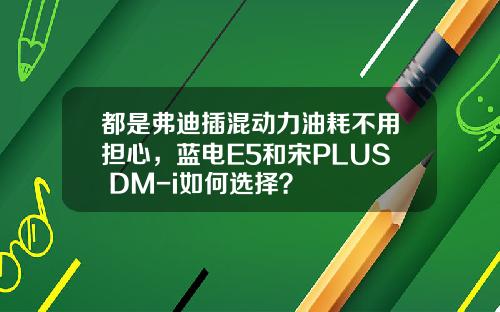 都是弗迪插混动力油耗不用担心，蓝电E5和宋PLUS DM-i如何选择？