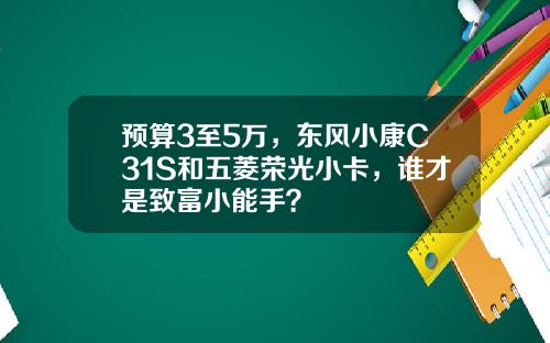 预算3至5万，东风小康C31S和五菱荣光小卡，谁才是致富小能手？
