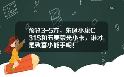 预算3-5万，东风小康C31S和五菱荣光小卡，谁才是致富小能手呢！