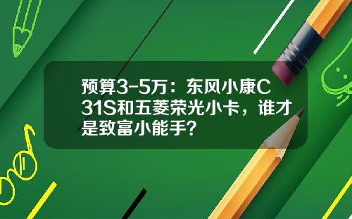 预算3-5万：东风小康C31S和五菱荣光小卡，谁才是致富小能手？