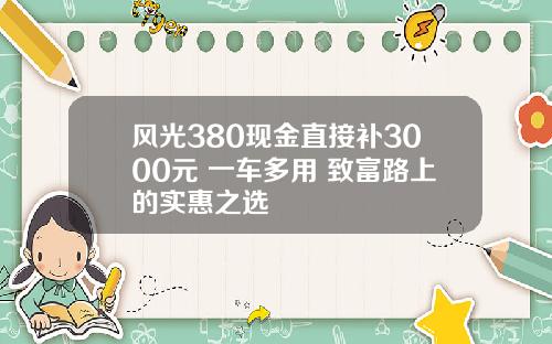 风光380现金直接补3000元 一车多用 致富路上的实惠之选