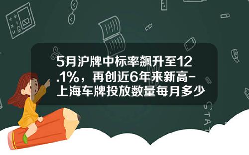 5月沪牌中标率飙升至12.1%，再创近6年来新高-上海车牌投放数量每月多少