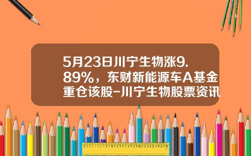 5月23日川宁生物涨9.89%，东财新能源车A基金重仓该股-川宁生物股票资讯网