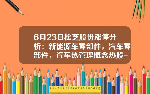 6月23日松芝股份涨停分析：新能源车零部件，汽车零部件，汽车热管理概念热股-松芝股份不流通股成本是多少