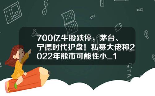 700亿牛股跌停，茅台、宁德时代护盘！私募大佬称2022年熊市可能性小_1