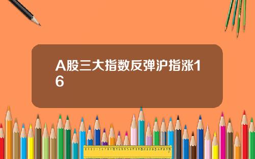 A股三大指数反弹沪指涨16