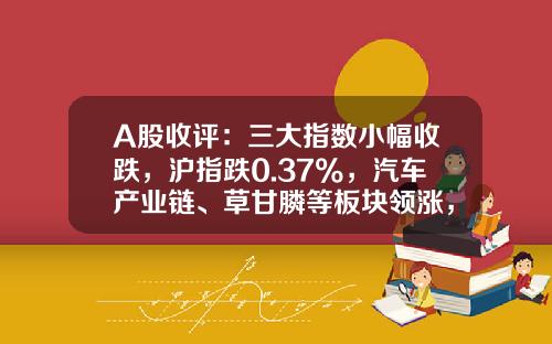 A股收评：三大指数小幅收跌，沪指跌0.37%，汽车产业链、草甘膦等板块领涨，AI概念股全线陷入调整-当日股票资讯整理