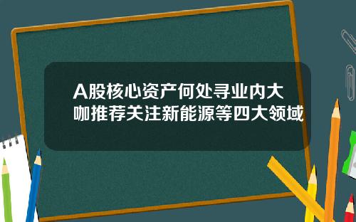 A股核心资产何处寻业内大咖推荐关注新能源等四大领域