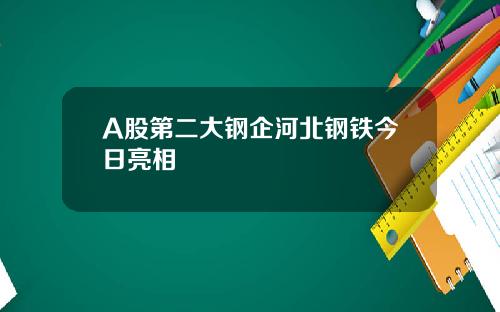 A股第二大钢企河北钢铁今日亮相