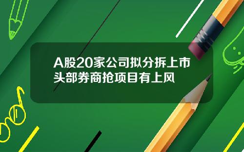 A股20家公司拟分拆上市头部券商抢项目有上风