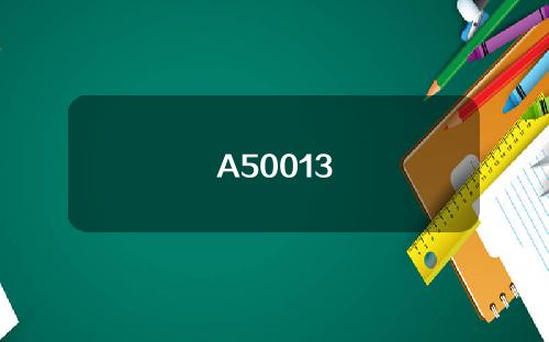 A50013