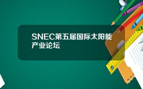 SNEC第五届国际太阳能产业论坛