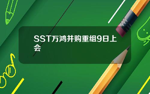 SST万鸿并购重组9日上会