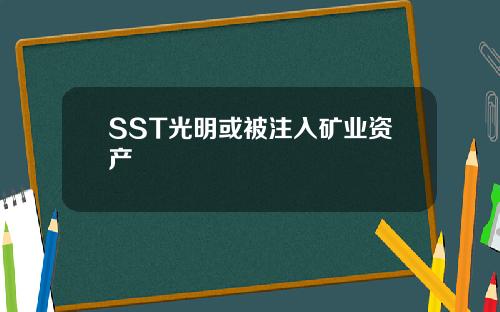 SST光明或被注入矿业资产