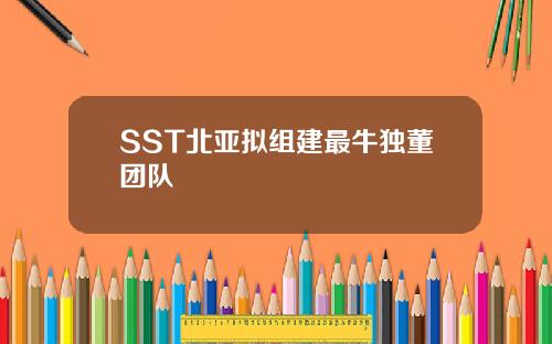 SST北亚拟组建最牛独董团队