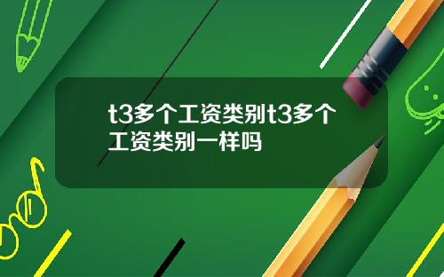 t3多个工资类别t3多个工资类别一样吗