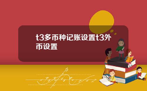 t3多币种记账设置t3外币设置