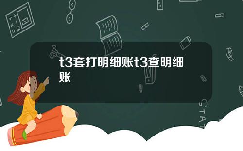 t3套打明细账t3查明细账
