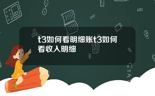 t3如何看明细账t3如何看收入明细