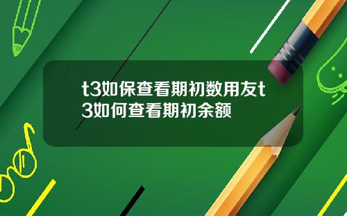t3如保查看期初数用友t3如何查看期初余额