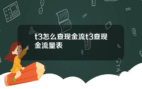 t3怎么查现金流t3查现金流量表