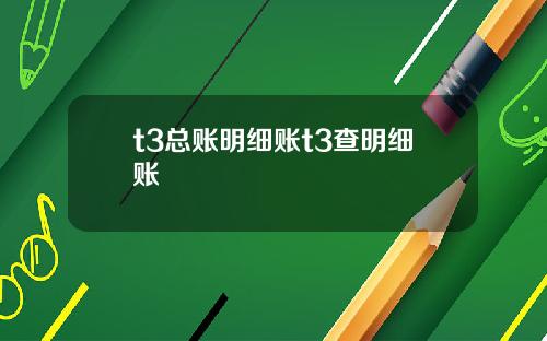 t3总账明细账t3查明细账