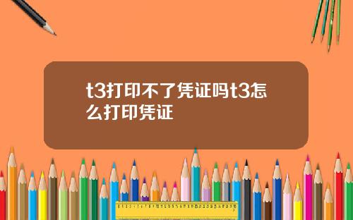 t3打印不了凭证吗t3怎么打印凭证