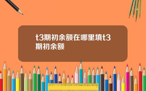 t3期初余额在哪里填t3期初余额
