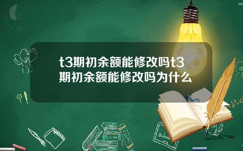 t3期初余额能修改吗t3期初余额能修改吗为什么