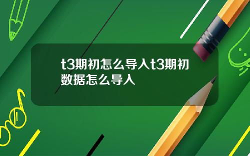 t3期初怎么导入t3期初数据怎么导入