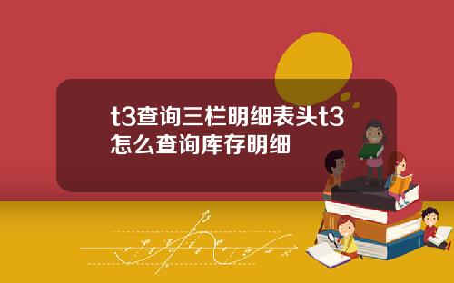 t3查询三栏明细表头t3怎么查询库存明细