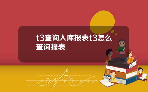 t3查询入库报表t3怎么查询报表